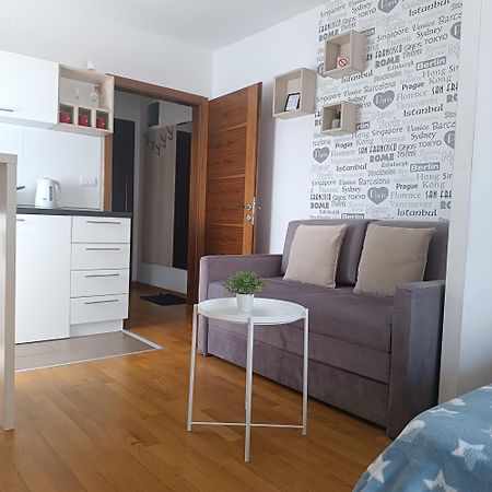 Apartments Karamarkovic Vrnjačka Banja 部屋 写真