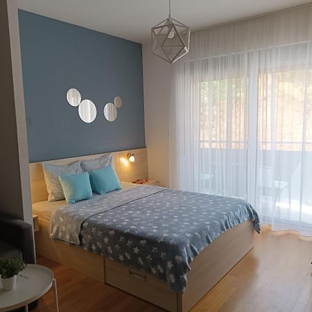 Apartments Karamarkovic Vrnjačka Banja エクステリア 写真