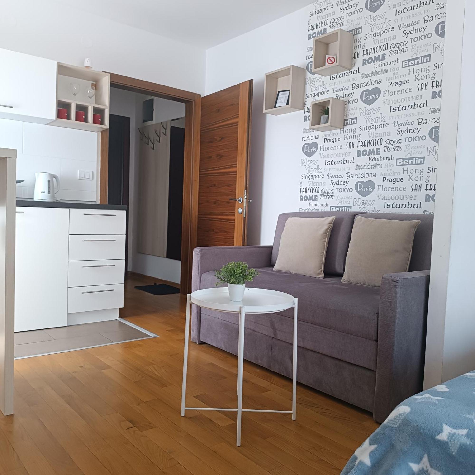 Apartments Karamarkovic Vrnjačka Banja 部屋 写真