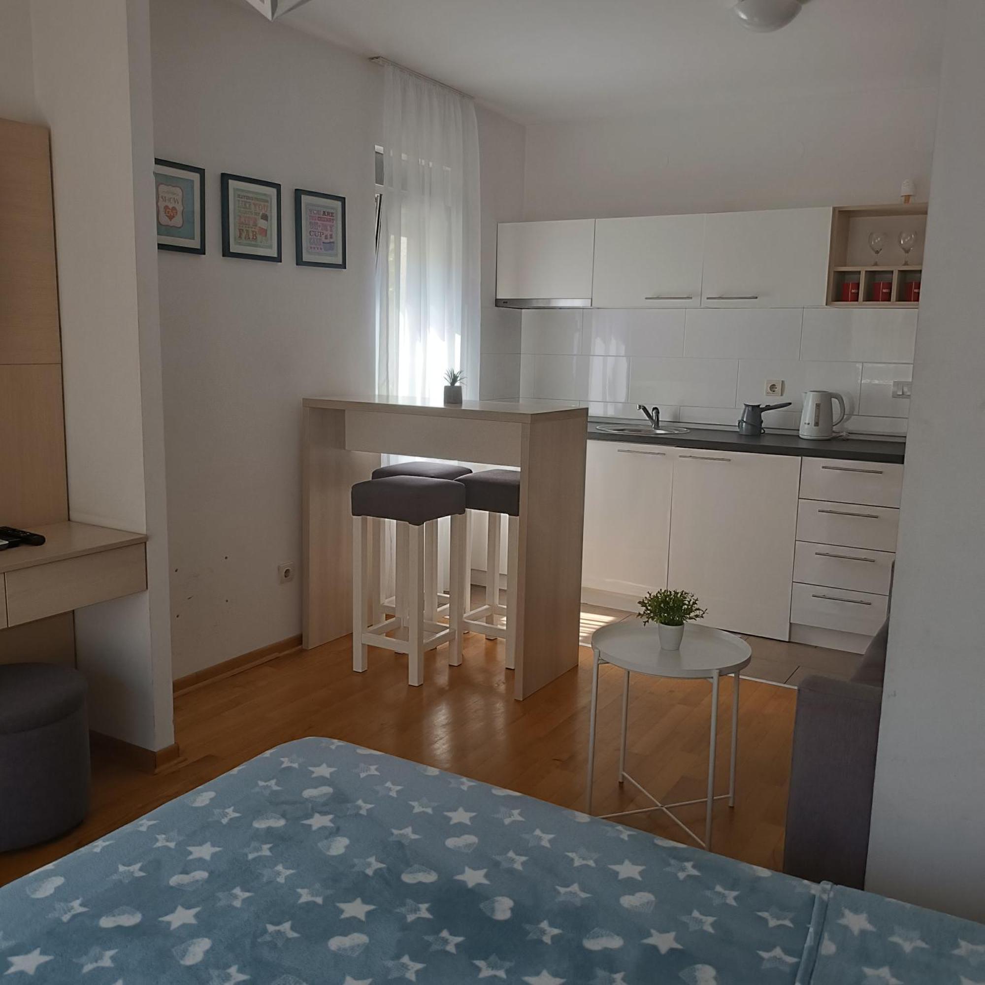 Apartments Karamarkovic Vrnjačka Banja 部屋 写真