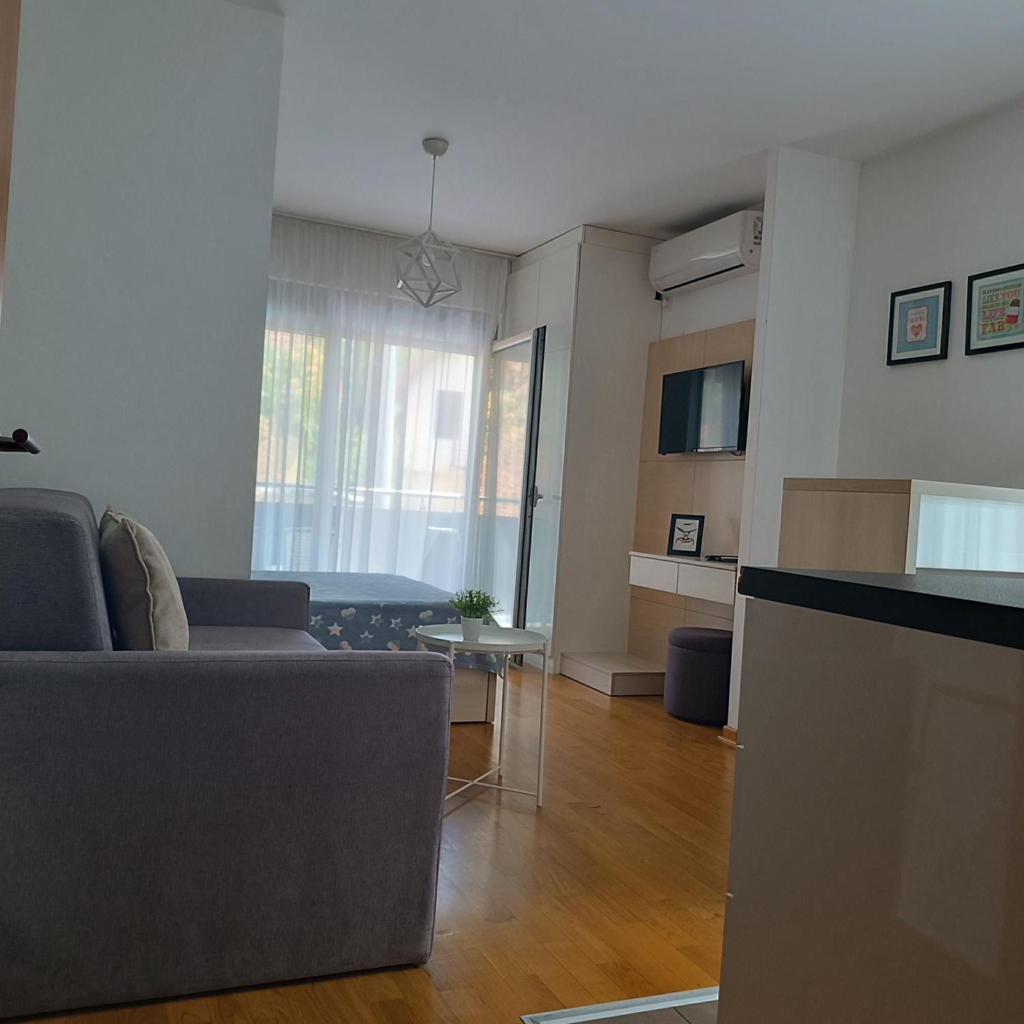 Apartments Karamarkovic Vrnjačka Banja エクステリア 写真