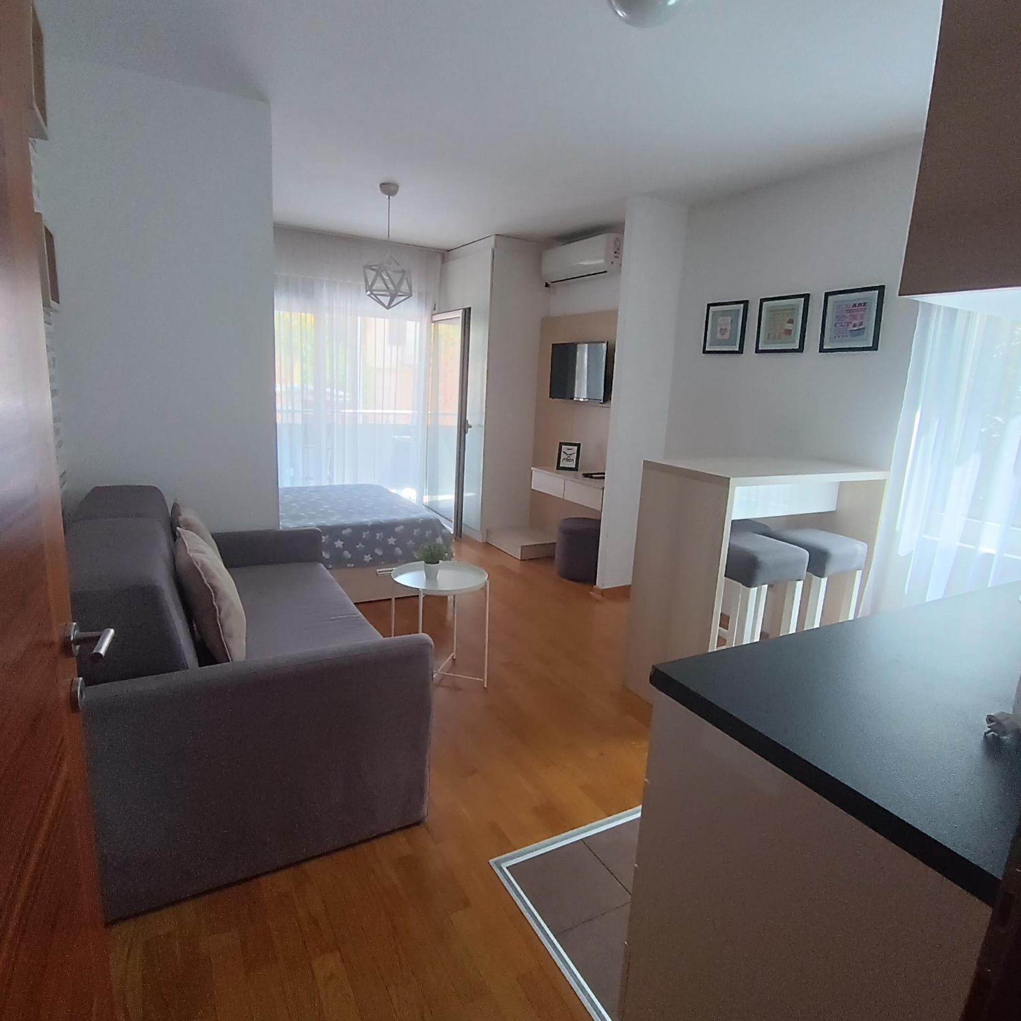 Apartments Karamarkovic Vrnjačka Banja エクステリア 写真